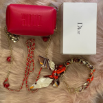 Túi sách mini Dior