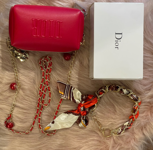 Túi sách mini Dior